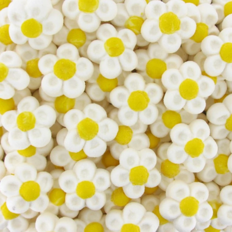 Guimauve fleurs blanche